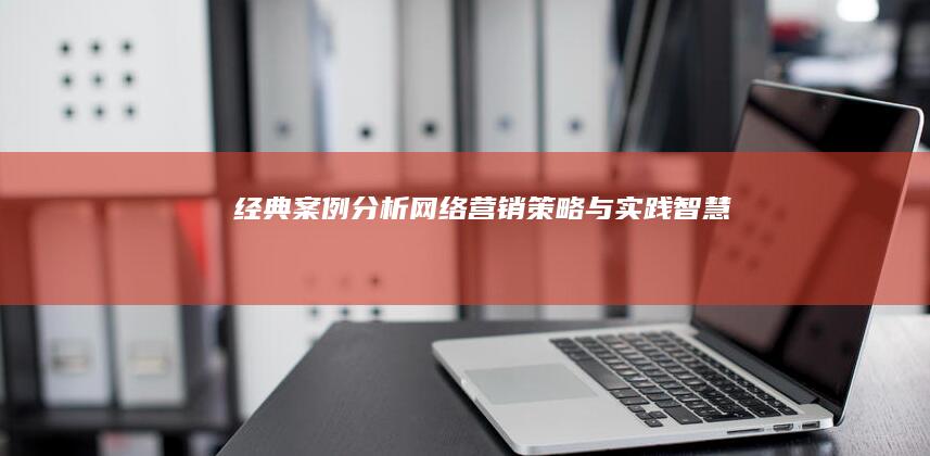 经典案例分析：网络营销策略与实践智慧